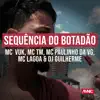 Stream & download Sequência do Botadão - Single