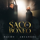 Saco De Boxeo artwork