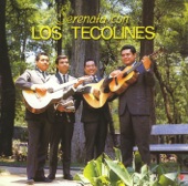 Serenata Con Los Tecolines