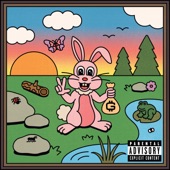 Gang Signs (feat. ScHoolboy Q) artwork