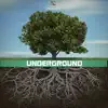 Underground (Instrumentals Hip Hop, Beats of Rap) album lyrics, reviews, download