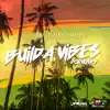 Build a Vibes - Single album lyrics, reviews, download