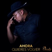 Ahora Quieres Volver artwork