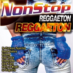 Non Stop Reggaeton