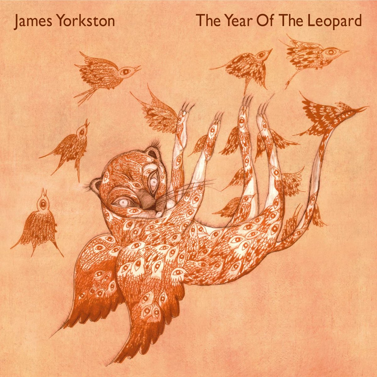 The Year of the Leopard by James Yorkston on Apple Music