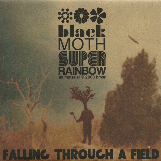 Cover artwork for Falling Through a Field