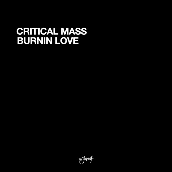 Cover artwork for Burnin Love