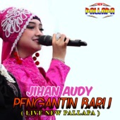 Pengantin Baru ( Live New Pallapa ) artwork