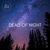 Amy Gray - Dead of Night