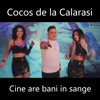 Cine Are Bani in Sange - Single