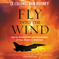 Lt Colonel Dan Rooney - Fly Into the Wind artwork