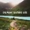 Echoes of Nature - Natural Healing Music Zone lyrics