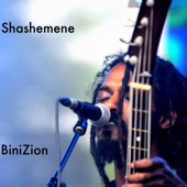 Shashemene artwork