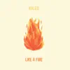 Like a Fire album lyrics, reviews, download