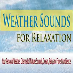 Weather Sounds for Relaxation: Your Personal Weather Channel of Nature Sounds, Ocean, Rain, And Forest Ambience by Robbins Island Music Group album reviews, ratings, credits