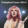 Frampton Comes Alive! (Live) album lyrics, reviews, download