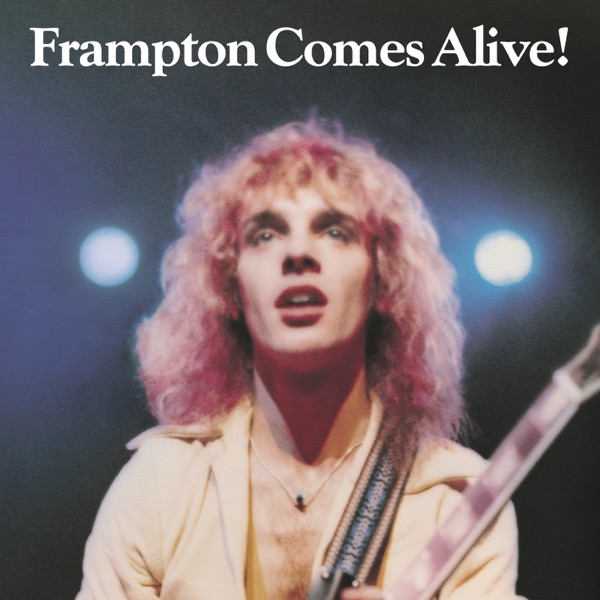 All I Want To Be (Is By Your Side) by Peter Frampton on NetFM