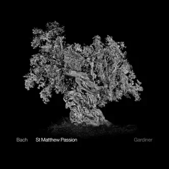 St. Matthew Passion, BWV 244, Pt. 2: No. 35, Geduld! Wenn mich falsche Zungen stechen by Hugo Hymas, English Baroque Soloists & John Eliot Gardiner song reviws