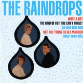 The Raindrops - It's So Wonderful