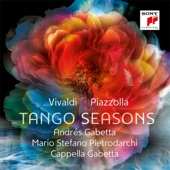 The Four Seasons - Violin Concerto in F Minor, RV 297, "Winter": I. Allegro non molto artwork