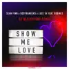 Show Me Love (DJ Blackstone Remix) [feat. Robin S.] - EP album lyrics, reviews, download