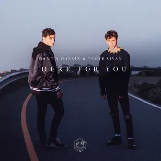 There for You by Martin Garrix & Troye Sivan song reviws