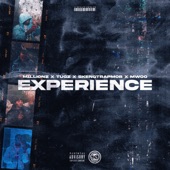 Experience (feat. Tugz, SkengTrapMob & Mwoo) artwork