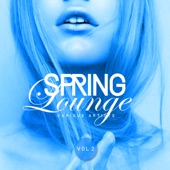 Spring Lounge, Vol. 2 artwork