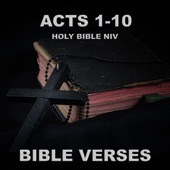 Holy Bible Niv Acts 10 artwork
