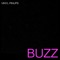 Buzz - Vinyl Pinups lyrics