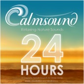 Calmsound - Ocean Sounds: 2 Hours of Relaxing Ocean Waves