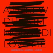 Love Me (Andrew Dum Remix) artwork