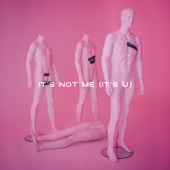 It's Not Me (It's U) artwork