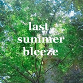 Last Summer Bleeze artwork