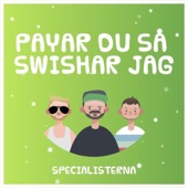 Payar du så swishar jag (feat. DJ BJ) artwork