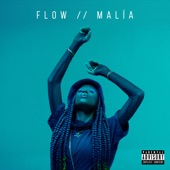 FLOW artwork