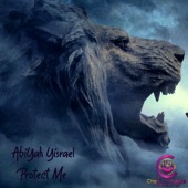 Protect me (King David's Chant) artwork