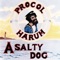A Salty Dog - Procol Harum lyrics
