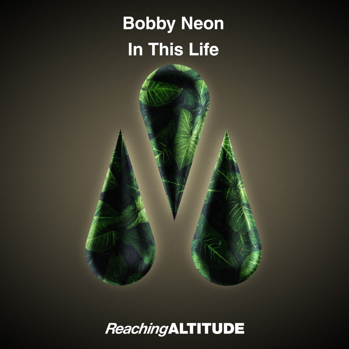 In this life. Bobby Neon. Bobby Neon reaching Altitude. Splinta — Shock Therapy.