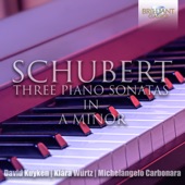 Schubert: The Three Piano Sonatas in A Minor artwork