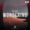 Wondering (Extended Mix) artwork