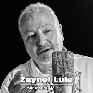 Album herunterladen Download Zeynel Lüle - Yalnız Şarkı album