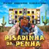 Stream & download Pisadinha da Penha - Single