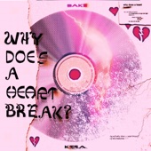 Why Does a Heart Break? (feat. Saki) artwork