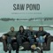 Saw Pond (feat. Steve Wickham) artwork