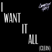 I Want It All (Clean) artwork