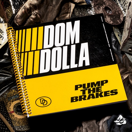 Cover artwork for Pump the Brakes