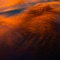 Red Heaven - Oblivion lyrics