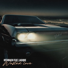 Wasted Love artwork