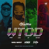 What Type of Dance (feat. Mayorkun, Naira Marley & Zlatan) artwork